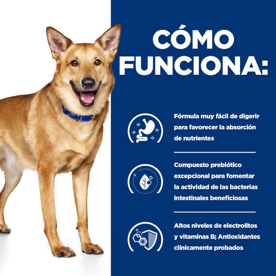 360 g Hill's Prescription Diet Digestive Care i/d Ternera lata para perros, , large Imagen numero 3